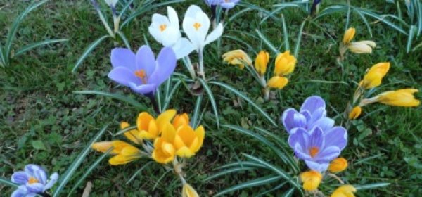 #caption4 Ferienhof Eckl