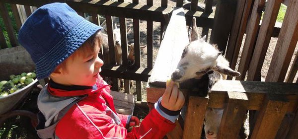 #caption1 Ferienhof Eckl