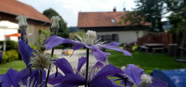 #caption1 Ferienhof Eckl