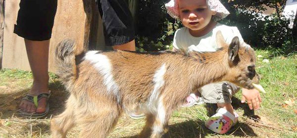 #caption3 Ferienhof Eckl